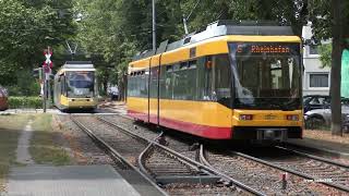 Trams aus Karlsruhe [upl. by Theobald]