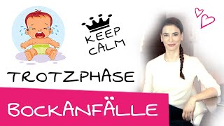 Trotzphase beim Kleinkind Das hilft wenn dein Kind in der Trotzphase ist  Tipps beim Bockanfall [upl. by Atalante231]