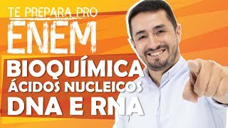 BIOQUÍMICA  ÁCIDOS NUCLEICOS  DNA e RNA [upl. by Maccarone]