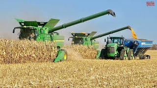 JOHN DEERE Combines Harvesting Corn [upl. by Zobias92]