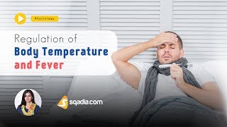 Regulation of Body Temperature and Fever  Human Video Physiology Lecture  VLearning [upl. by Siward740]