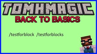 Back to Basics  E12  testforblock testforblocks [upl. by Ozne58]