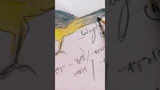 wagtail pencil colour drawing rt short video viral viedo [upl. by Hbahsur]