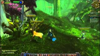 Forces of Nature Wisps Quest  World of Warcraft [upl. by Akemeuwkuhc361]