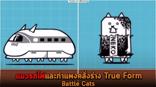 แมวรถไฟและกำแพงคลั่งร่าง True Form Battle Cats [upl. by Atterbury]