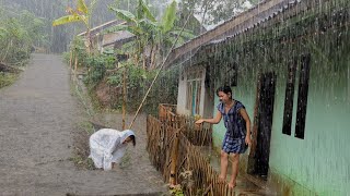 Super heavy rain and strong winds in my village  Sleep instantly with the sound of heavy rain [upl. by Nahs546]