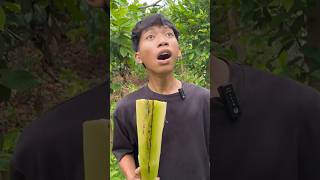 WOW this is a really amazing idea🩴❗️camping survival bushcraft outdoors [upl. by Dnomder]