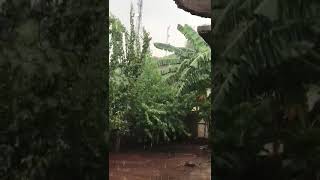 love weather verybeautiful shortvideo [upl. by Eiramesor]