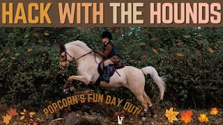 HACK WITH THE HOUNDS POPCORNS FUN DAY OUT NOT HUNTING [upl. by Rayburn909]