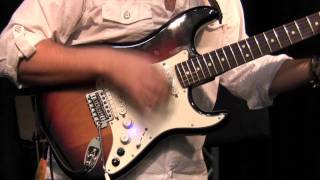 Sweetwater at NAMM 2012  Roland G5 VG Stratocaster Demo [upl. by Goldin]