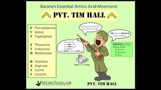 Introduction to Amino Acids [upl. by Simonne]