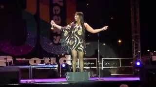 Adina Howard  EDM Interlude Live  Long Beach Pride 51913 [upl. by Dyoll107]