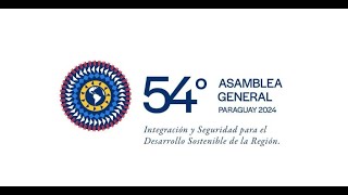 Resumen y Conclusiones Asamblea 54 OEA [upl. by Ellissa]