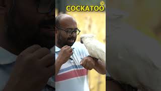 What is exotic pets  Vishaknath Venkatrajan [upl. by Reinaldo747]