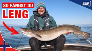 Leng angeln in Norwegen  Montage Köder und Ausrüstung zum Meeresangeln auf große Fische [upl. by Aranahs454]