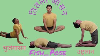 Yoga Poses Inspired by Animals and Birds 🕉🧘‍♂️🧘‍♀️ dailyyogaroutine dailyyogapractice motivation [upl. by Bobby]