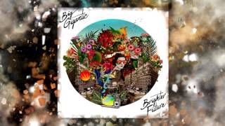 Big Gigantic  Brighter Future Full Album 2016 [upl. by Bina]