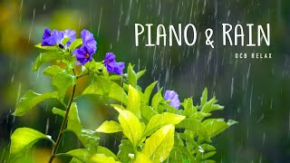 Rain Sounds amp Relaxing Music 247  Piano Music Sleep Study Yoga Stress Relief Meditation [upl. by Owen]