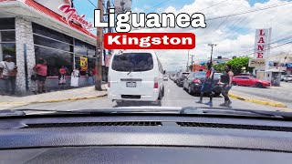 All You Need In One Place  Liguanea Kingston Jamaica  Half Way Tree To Old Hope Road [upl. by Nadia]