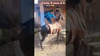 ઈ રામગઢનો ઘુલો 🥷tending horse horseriding 1million shots video 100 1k 1vs4 [upl. by Ailyn779]