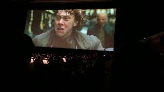 Harry Potter and the Deathly Hallows part 1 in concert  Fireplaces Escape [upl. by Honig]