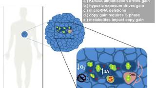 Deciphering Cancer Genomic Instability in Cancer [upl. by Coryden]