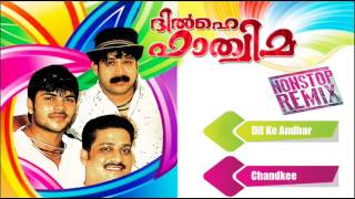 Dilhai Fathima  Super Hit Mappila Album  Thajudheen  Shafi [upl. by Cummins259]