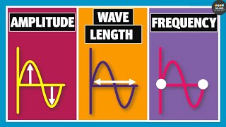 Wavelength Frequency Time Period and Amplitude  Physics [upl. by Brindell754]