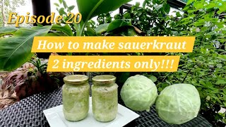 Sauerkraut recipe how to make sauerkraut fermented cabbage [upl. by Mailli]