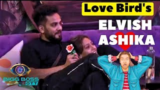 Elvish Aur Aashika ke Relationship ke Charche In Big Boss HouseTheSocialFactory AASHIKABHATIA [upl. by Amerigo]