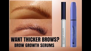 MY EYEBROW GROWTH JOURNEY  HOW I GREW OUT MY BROWS IN 6 MONTHS  PERFECT SERUM COMBINATION [upl. by Natek709]