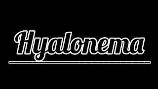 Hyalonema  Classification of Hyalonema  General characters of Hyalonema  Diagram [upl. by Lundgren772]