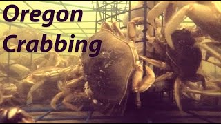 How to Catch Big Crab  Crabbing in Florence Oregon [upl. by Mulderig967]