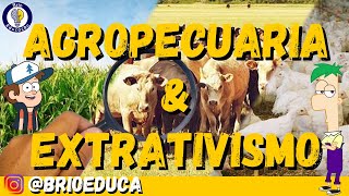 Geografia  Agropecuária e extrativismo vegetal animal e mineral Ensino Fundamental [upl. by Burnett]