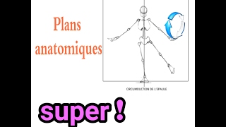 Les plans anatomiques [upl. by Chloe634]