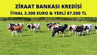 2Yıl Ödemesiz 5 Yıl Geri Ödemeli Ziraat Bankası Kredisi 2024 [upl. by Eanerb]