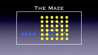 Physed Games  The Maze [upl. by Donnell634]