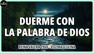 Poderosos Salmos y versículos Bíblicos para Dormir  Biblia Hablada  Reina Valera 1960  12 HRS [upl. by Sukhum]