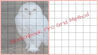 Sketchbook Pro Grid Method on Android [upl. by Bigelow]