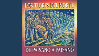 Los Tigres Del Norte Mix 2020 Pa Pistear  Un Mix Para Esos Charitas [upl. by Hsirrehc]