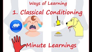 Classical Conditioning Pavlovs Dog Experiment Watson Little Albert [upl. by Doownyl714]