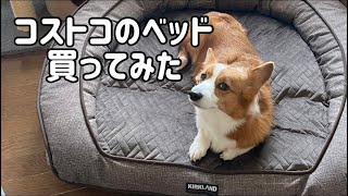 コストコの犬用ベッドを買ってみました！ [upl. by Garrek50]