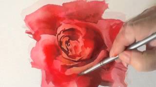 How to Paint a Red Rose in Watercolours by Trevor Waugh [upl. by Buller568]