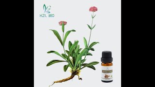 甘松油Spikenard Essential Oil [upl. by Yentruocal]