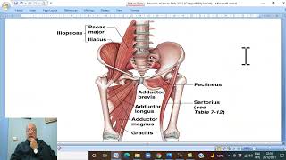 Musculoskeletal Module Anatomy of Lower Limb in Arabic 8 Muscles of Medial aspect of thigh 2022 [upl. by Samantha620]