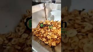 banana chips snacks machine  Banana chips machine  banana plant  kalyan machines  917891078928 [upl. by Esiom]