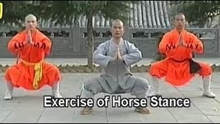 Shaolin Kung Fu basic moves [upl. by Velda]