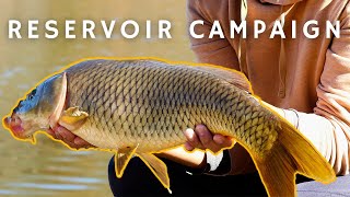 Carp Fishing Triadelphia Reservoir Reservoir Campaign [upl. by Llarret]