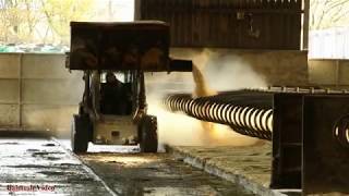 Busy Farm  Feeding Cows Bedding Cubicles and Sorting Muck Valtra Action [upl. by Enived]