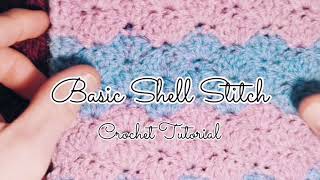 Basic Shell Stitch Crochet Tutorial [upl. by Ebonee]